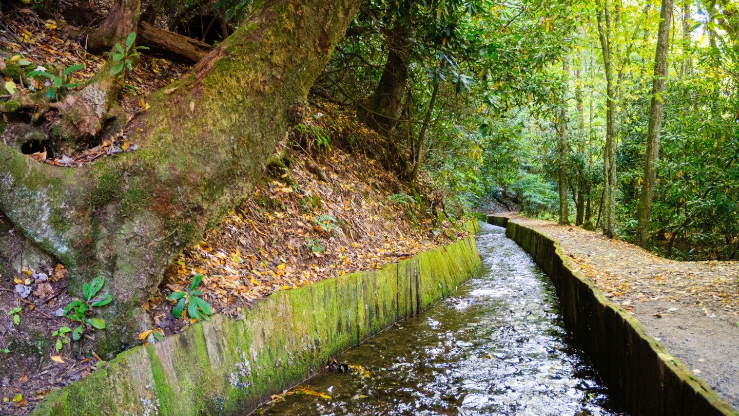 Great Smoky Mountains National Park-rsm