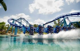 Seaworld – RSM tour