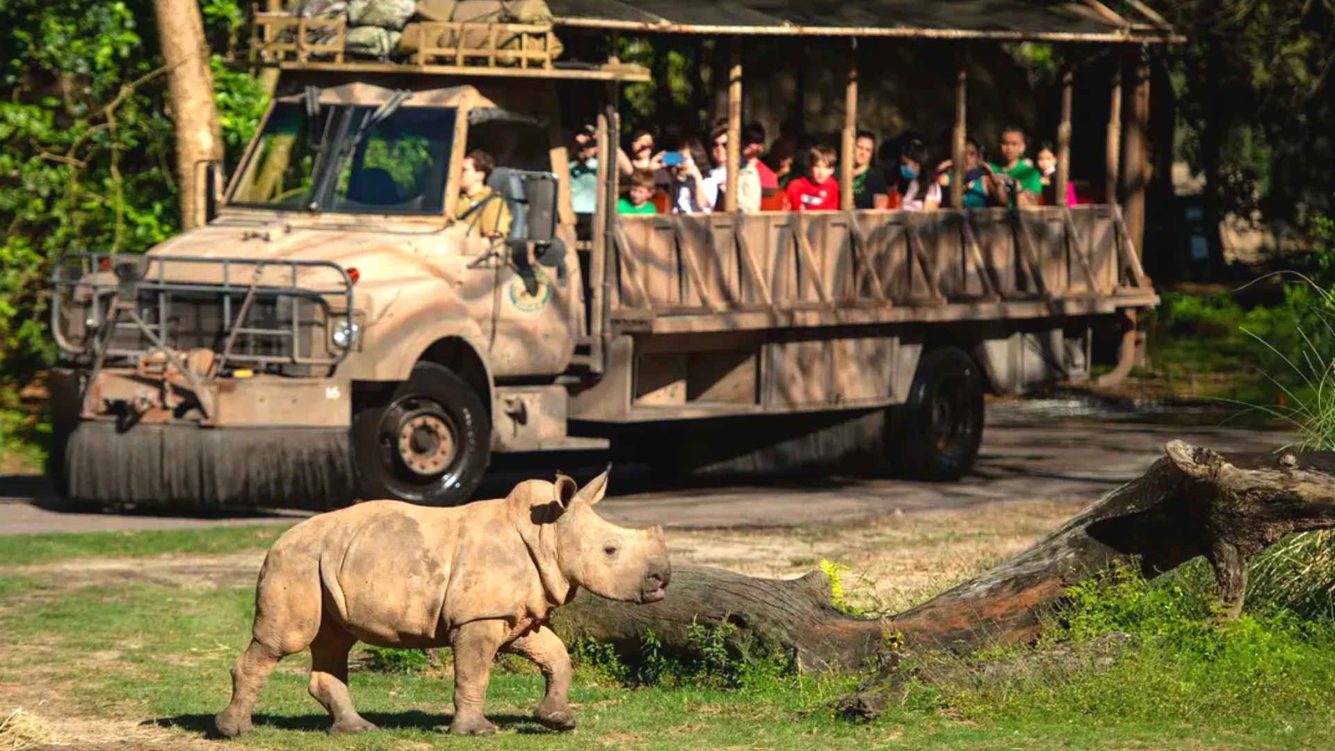 Kilimanjaro Safaris