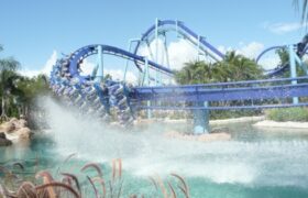 Manta at SeaWorld Orlando