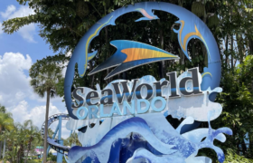 SeaWorld Orlando - RSM