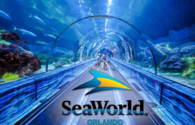 SeaWorld Orlando - RSM