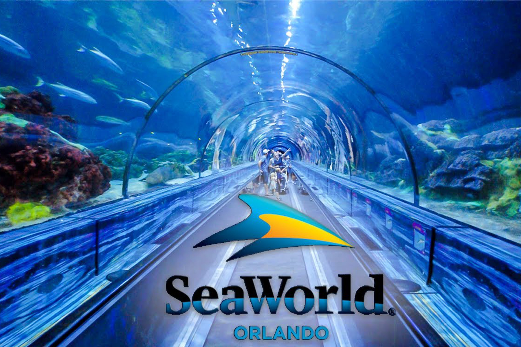 SeaWorld Orlando - RSM