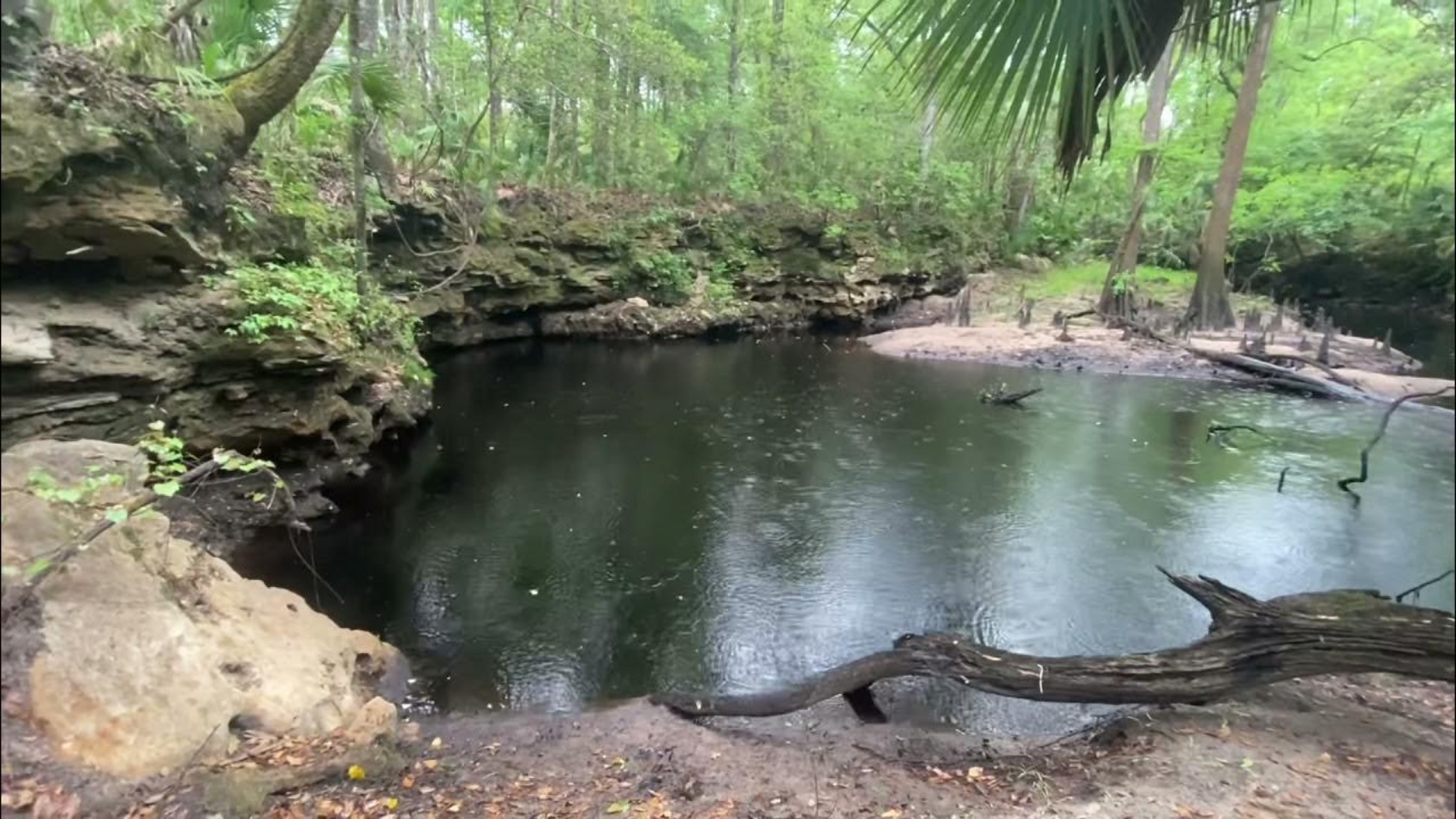 Aucilla Sinks - RSM