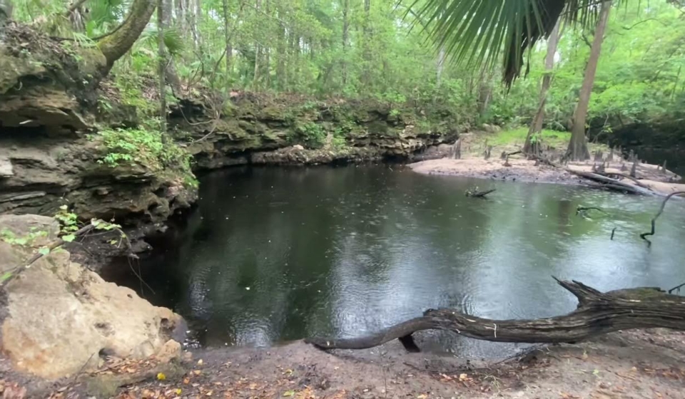 Aucilla Sinks - RSM