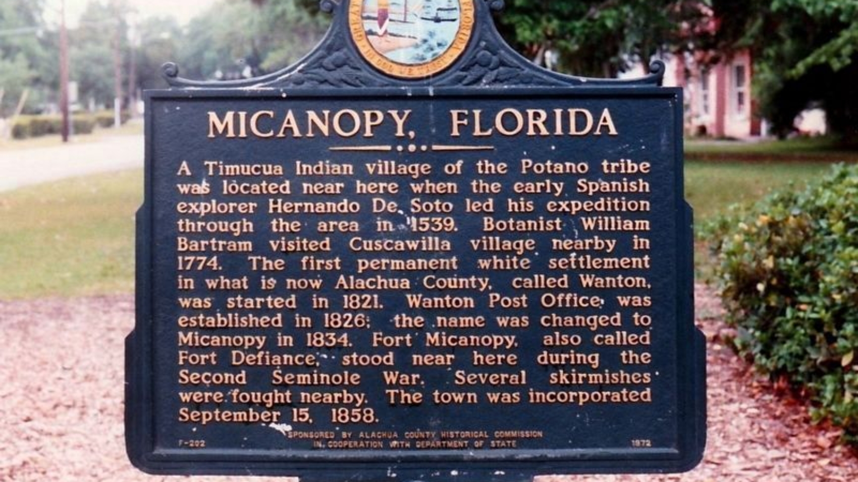 Micanopy - RSM