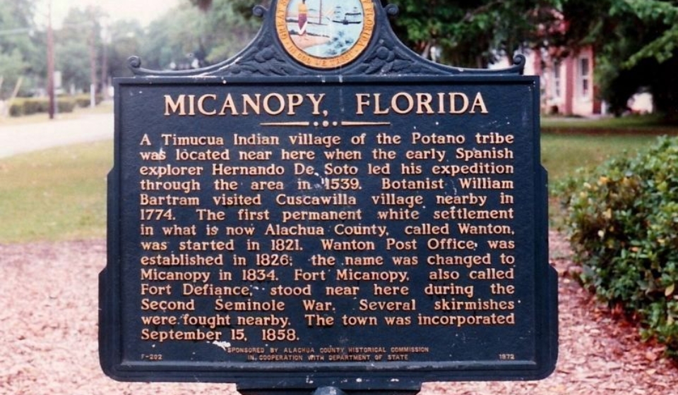 Micanopy - RSM