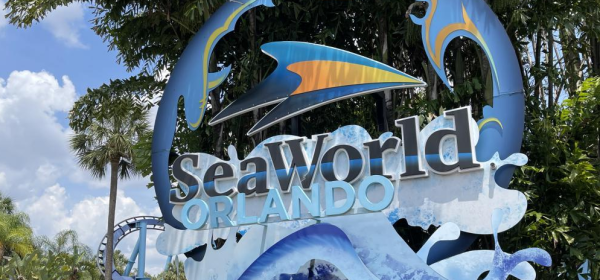 SeaWorld Orlando - RSM