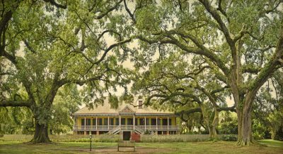 Laura Plantation