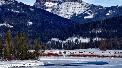 yellowstone -neve- RSMTours.jpg